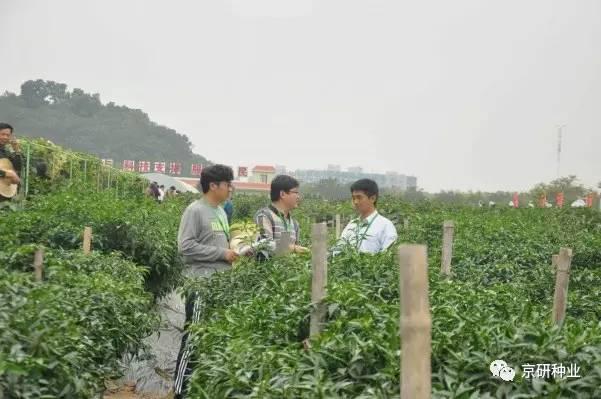 图片18.jpg