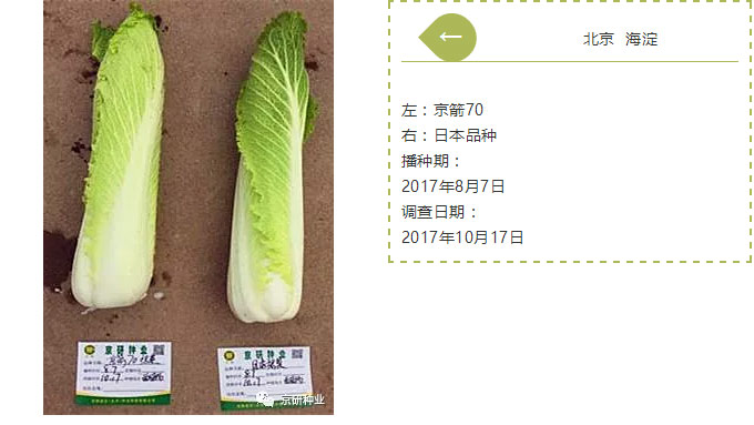京研种业_05.jpg