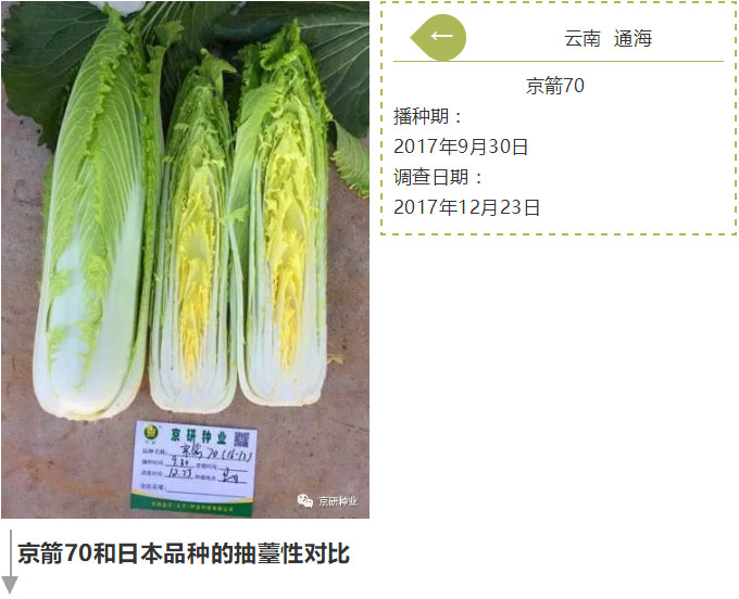 京研种业_08.jpg