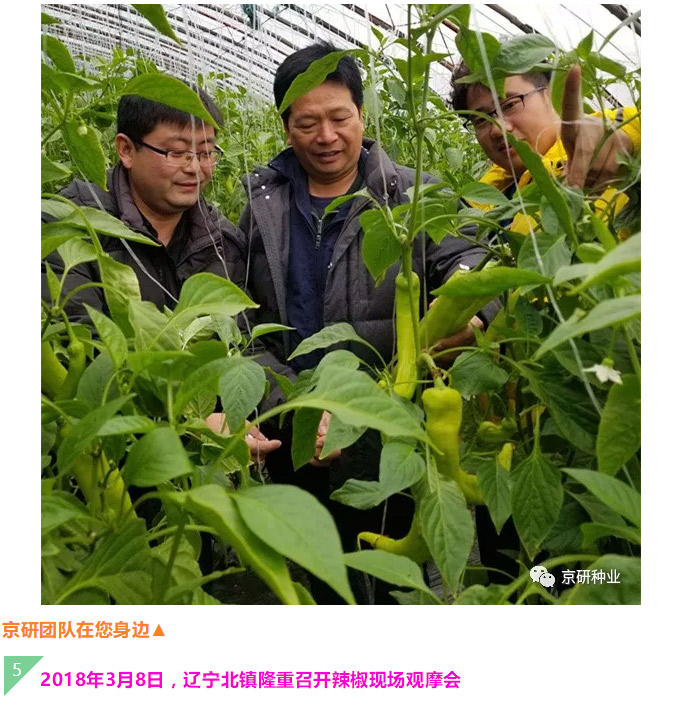 京研种业_09.jpg