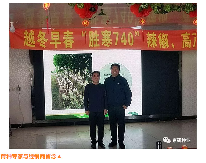 京研种业_10.jpg