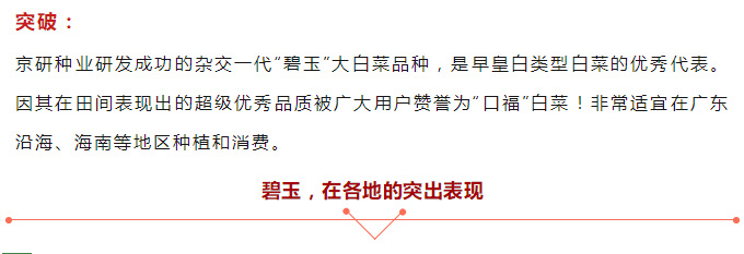 京研种业_05.jpg