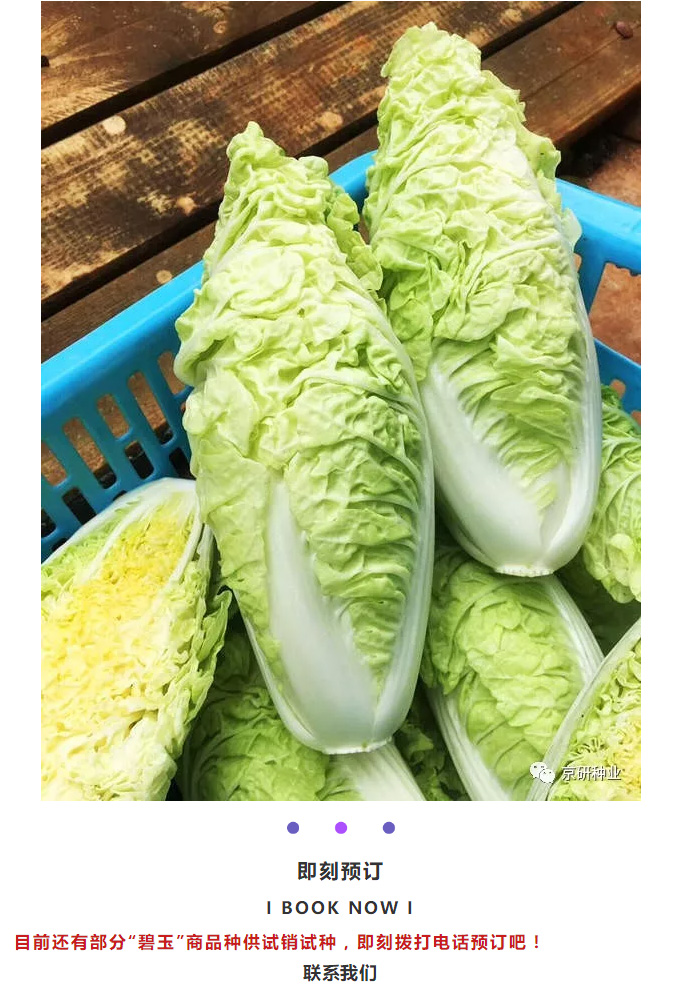 京研种业_14.jpg
