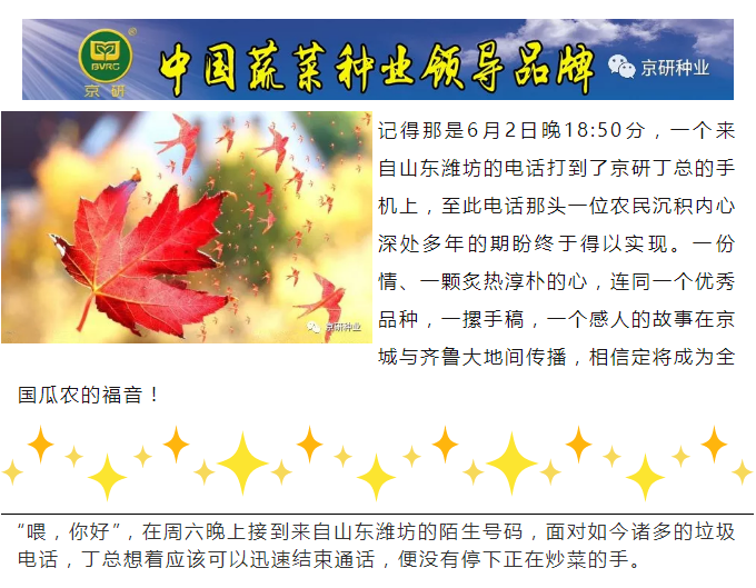 京研种业_01.png