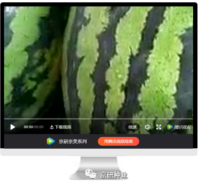 京研种业_11.png