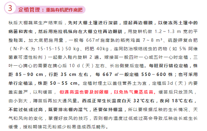 京研种业_08.jpg