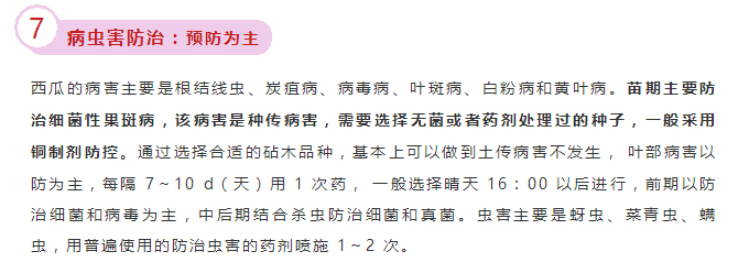 京研种业_15.jpg