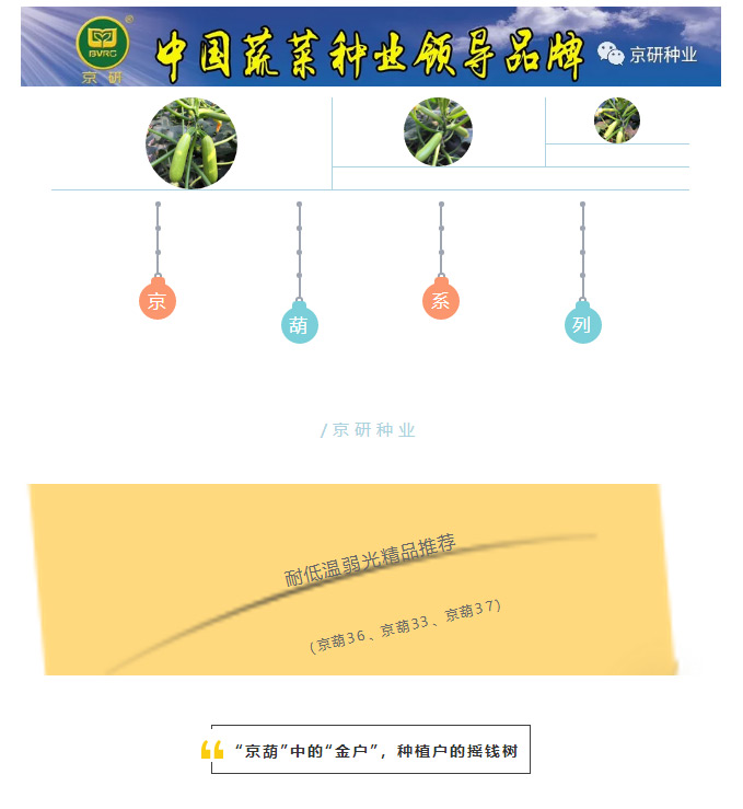 京研种业_01.jpg