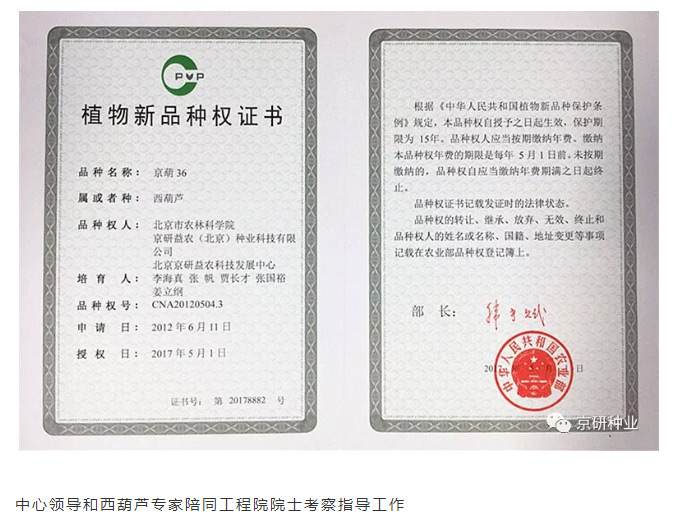 京研种业_04.jpg