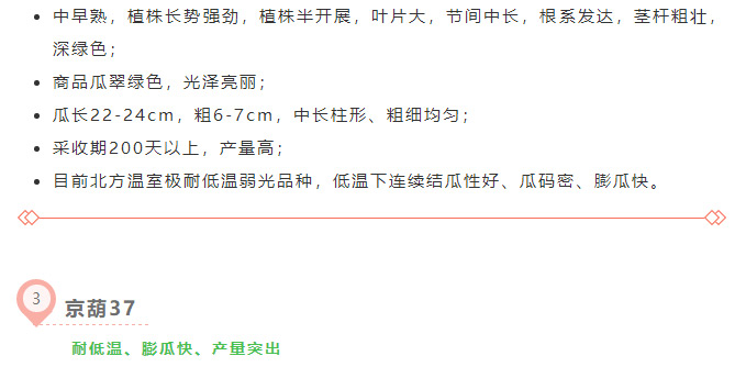 京研种业_11.jpg