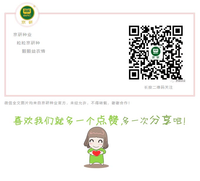 京研种业_16.jpg