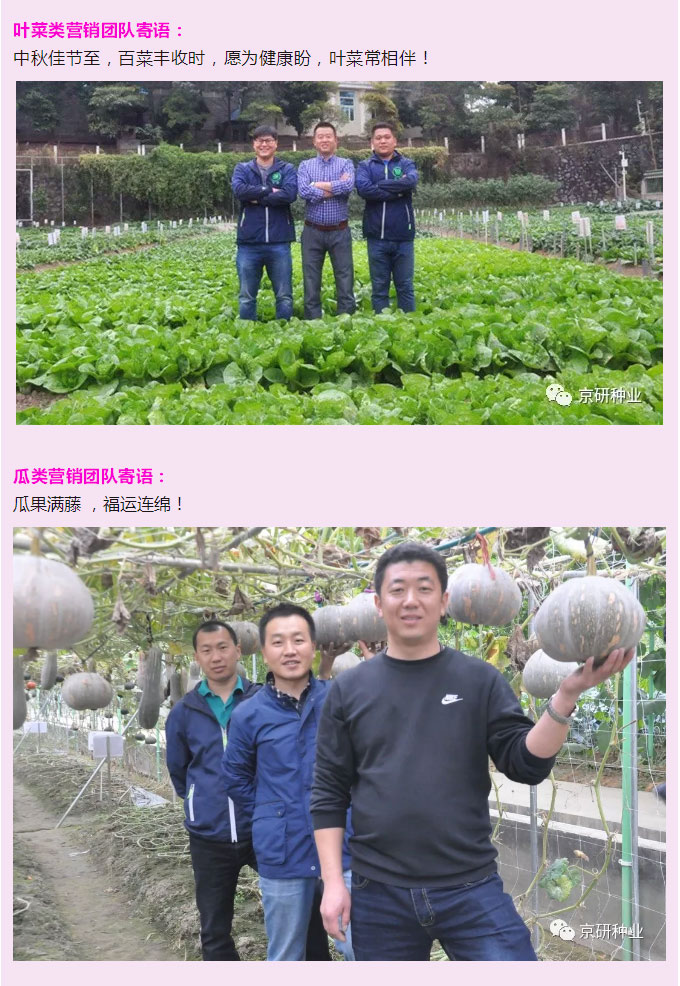 京研种业_02.jpg