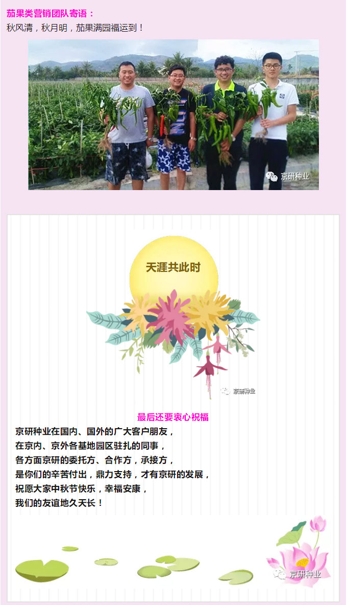 京研种业_03.jpg