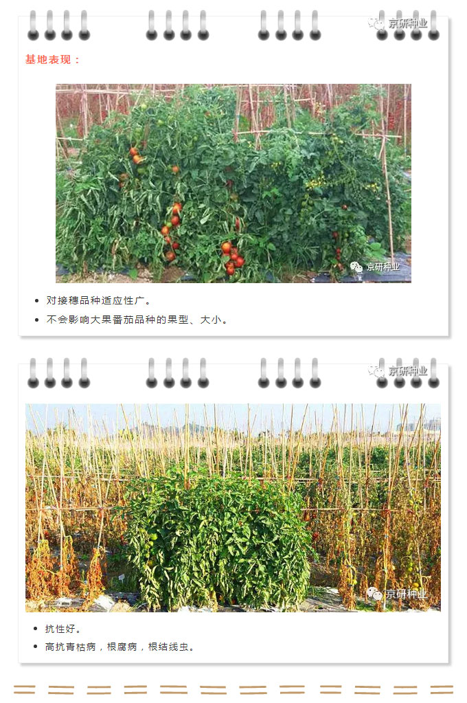 京研种业_07.jpg