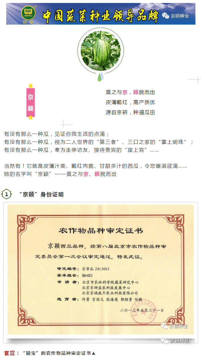 京研种业_01.png