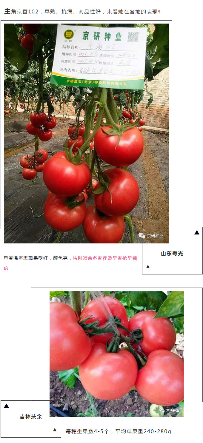 京研种业_03.jpg