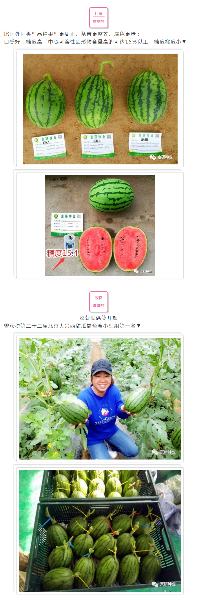 京研种业_04.png