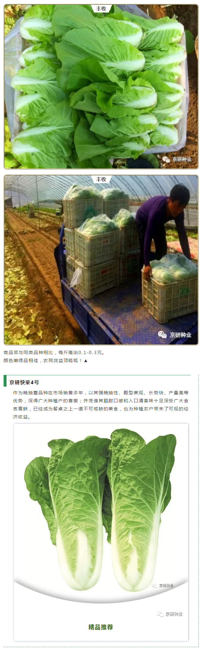 京研种业_04.jpg