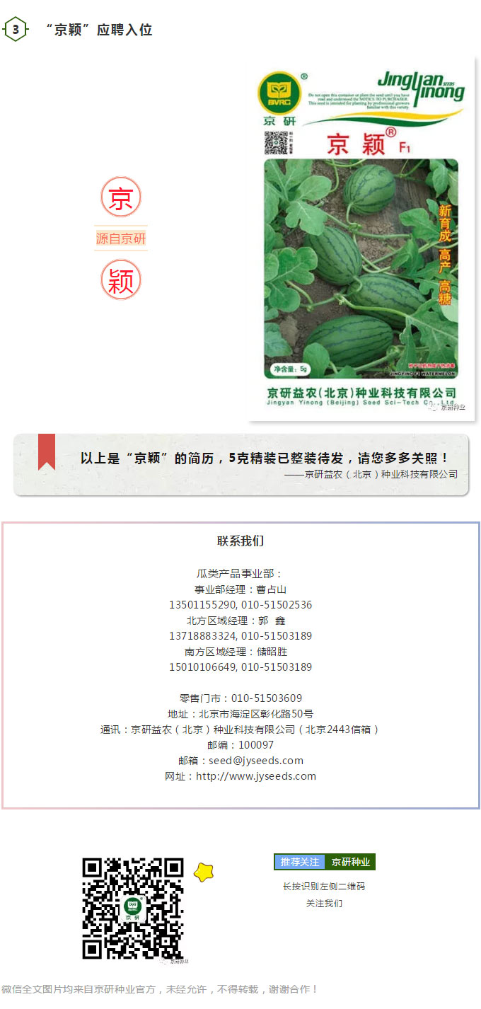 京研种业_05.jpg
