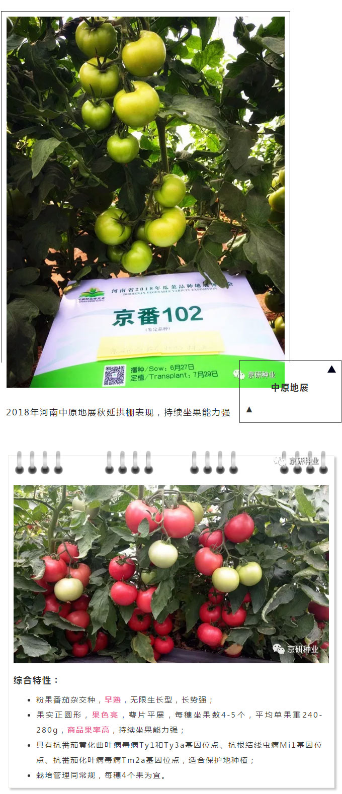 京研种业_05.jpg