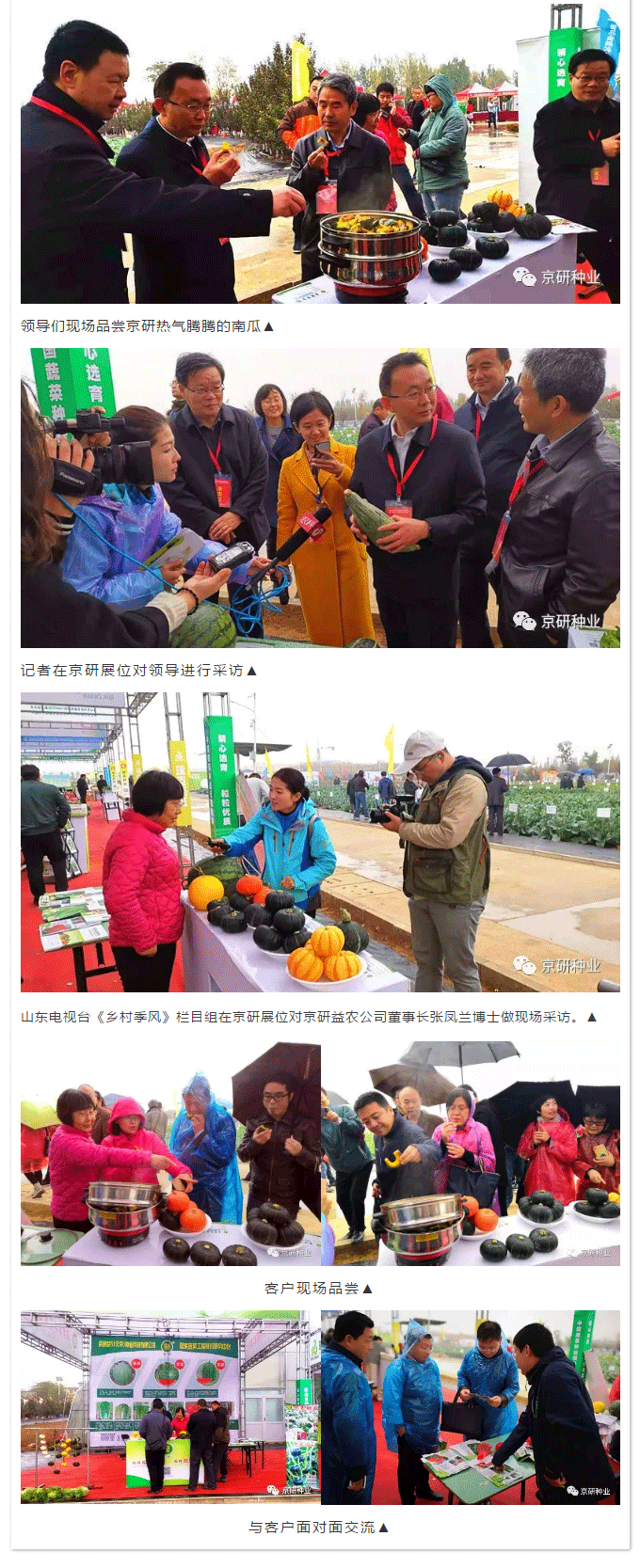 京研种业_04.gif