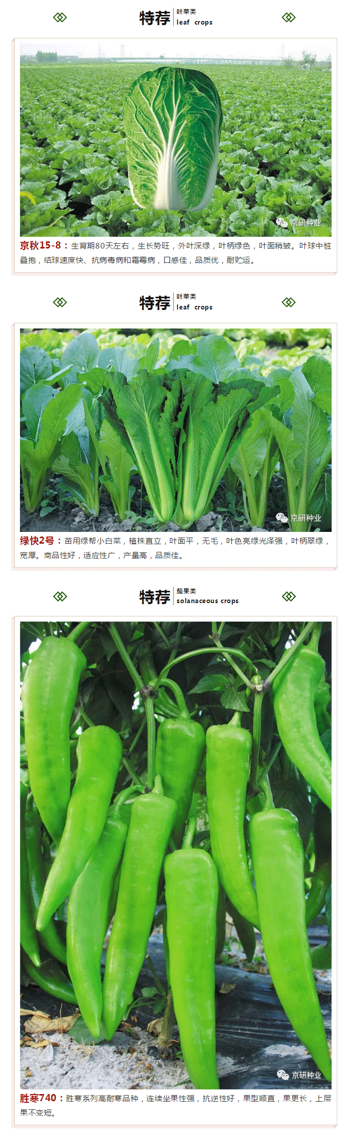 京研种业_09.gif