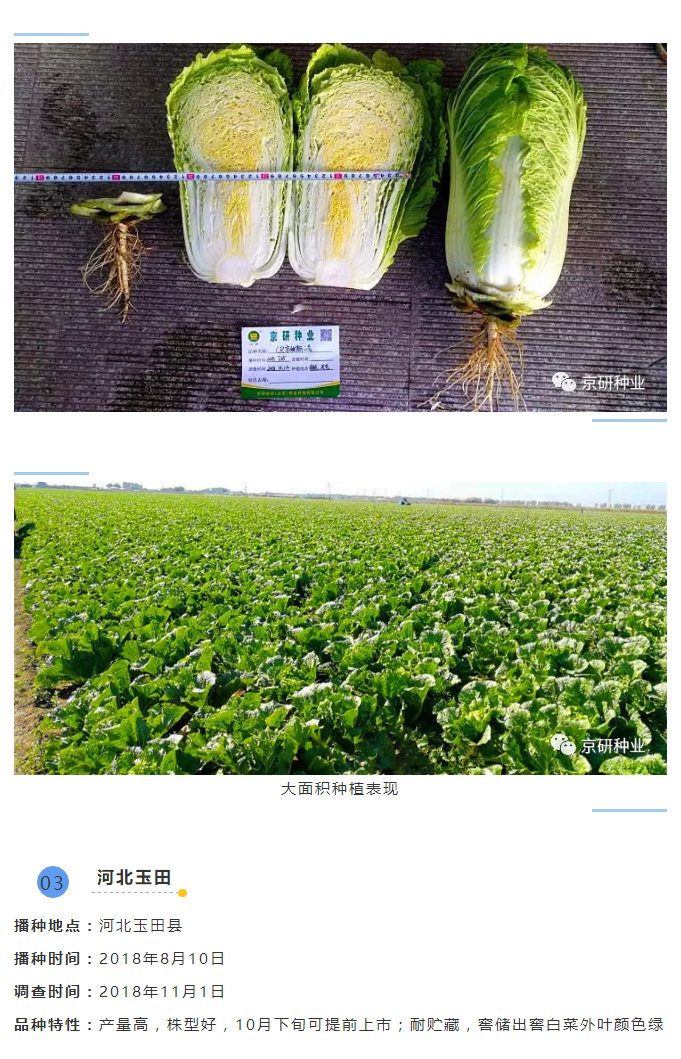京研种业_05.jpg