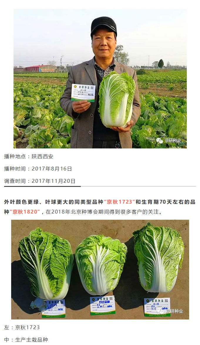 京研种业_10.jpg