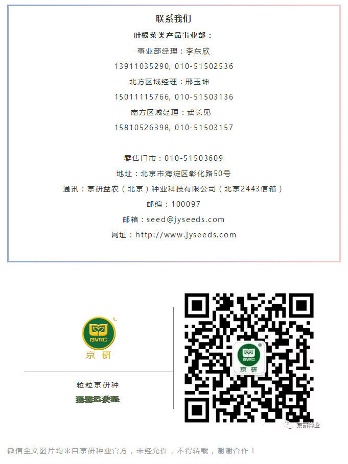京研种业_13.jpg