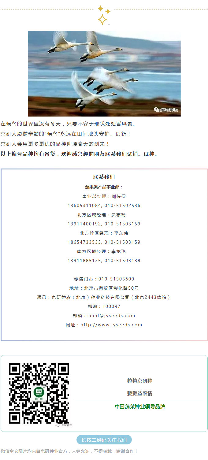 京研种业_13.jpg