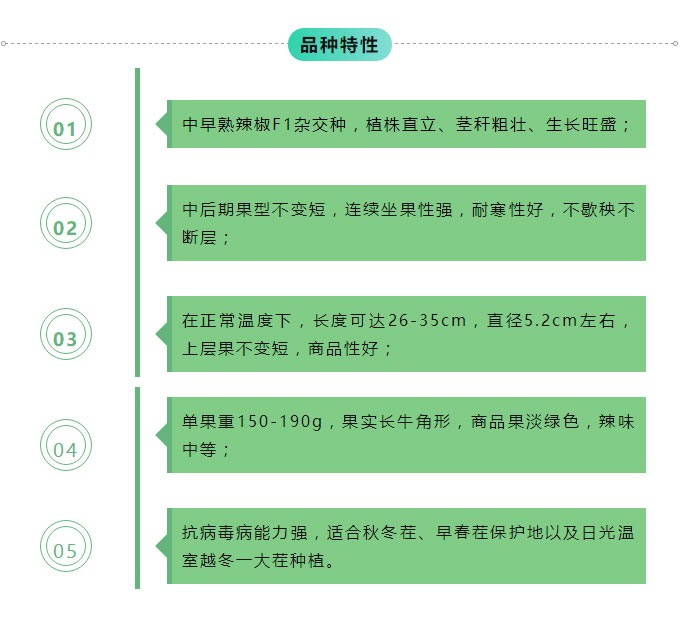 京研种业_03.jpg