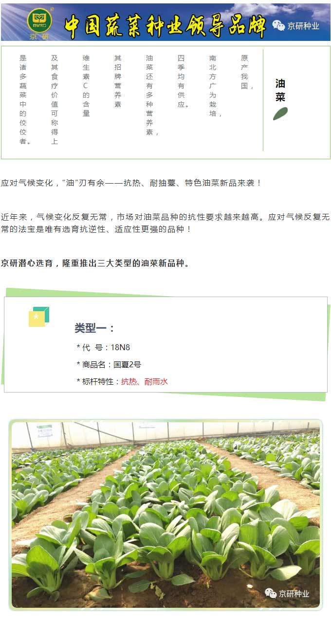京研种业_01.jpg