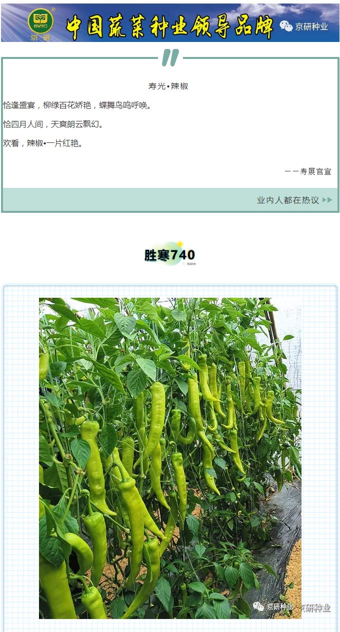 京研种业_01.jpg