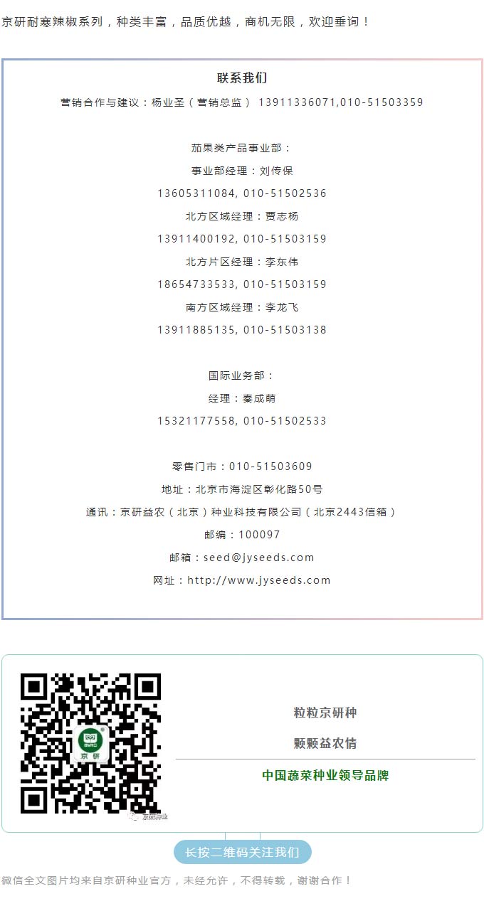 京研种业_11.jpg
