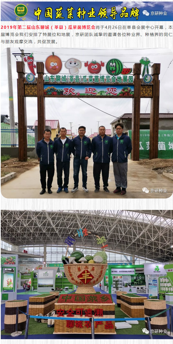 京研种业_01.jpg