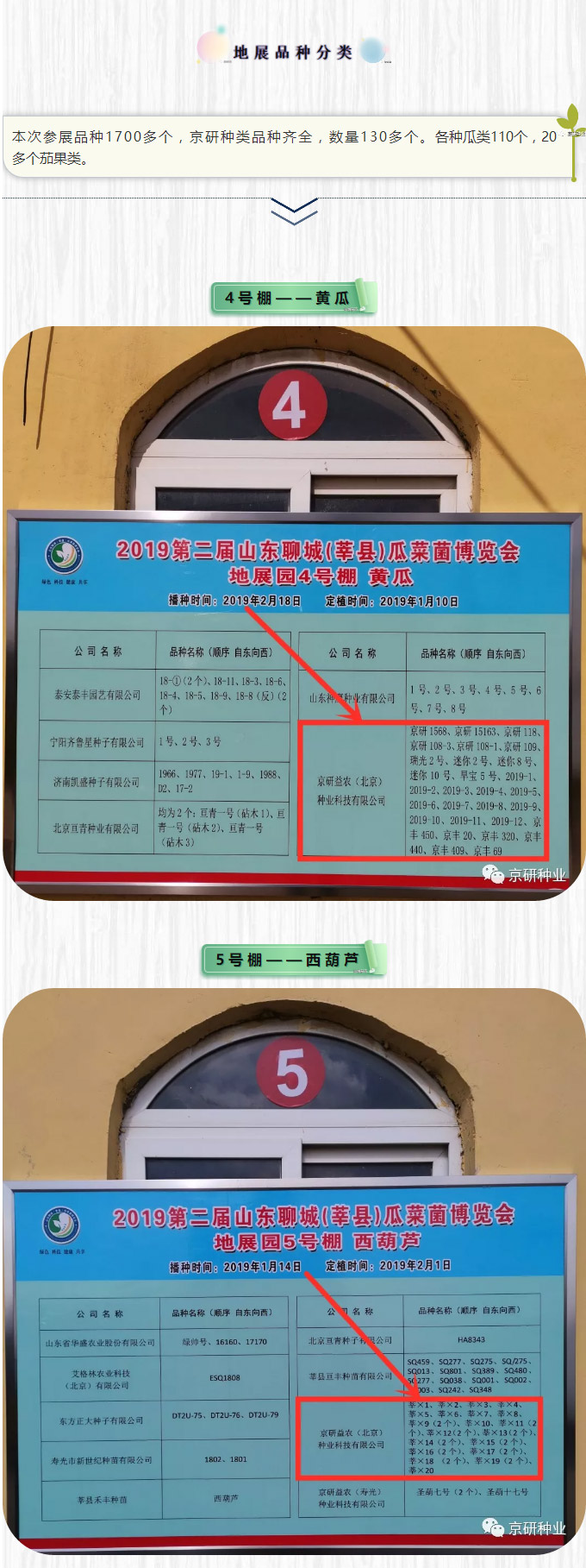 京研种业_05.jpg