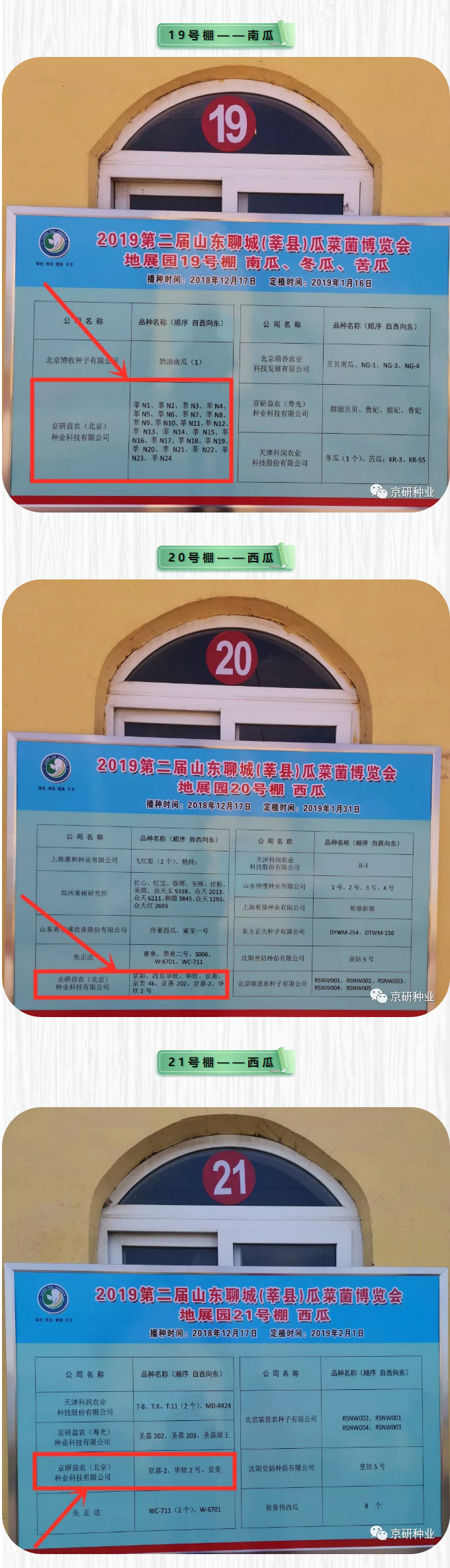 京研种业_06.jpg