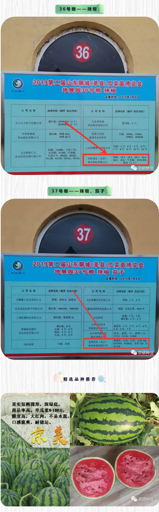 京研种业_08.jpg