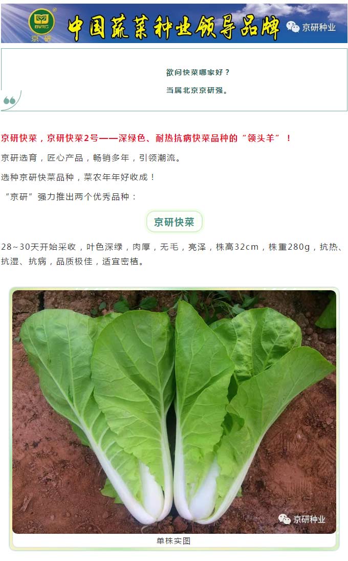 京研种业_01.jpg