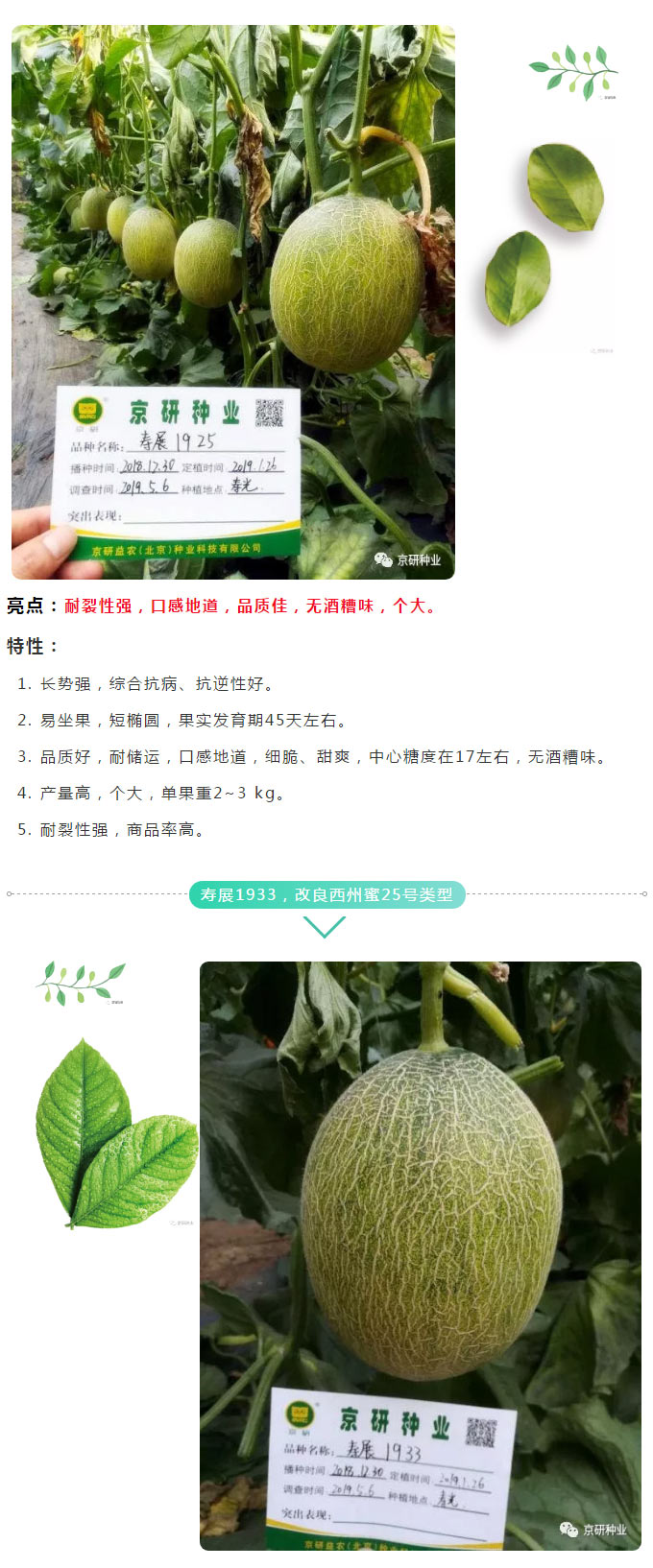 京研种业_02.jpg