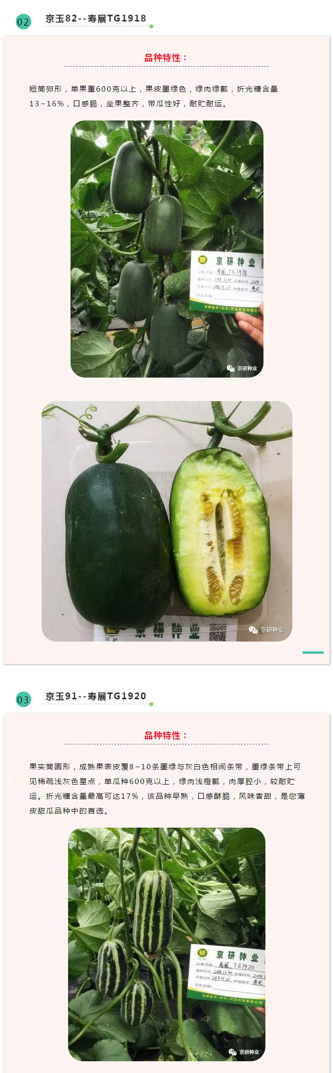 京研种业_03.jpg