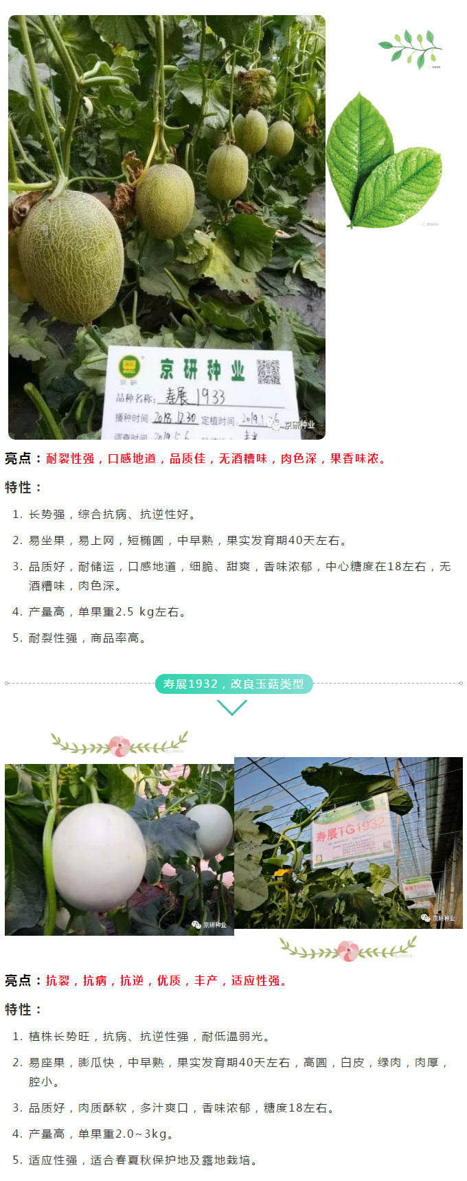 京研种业_04.jpg