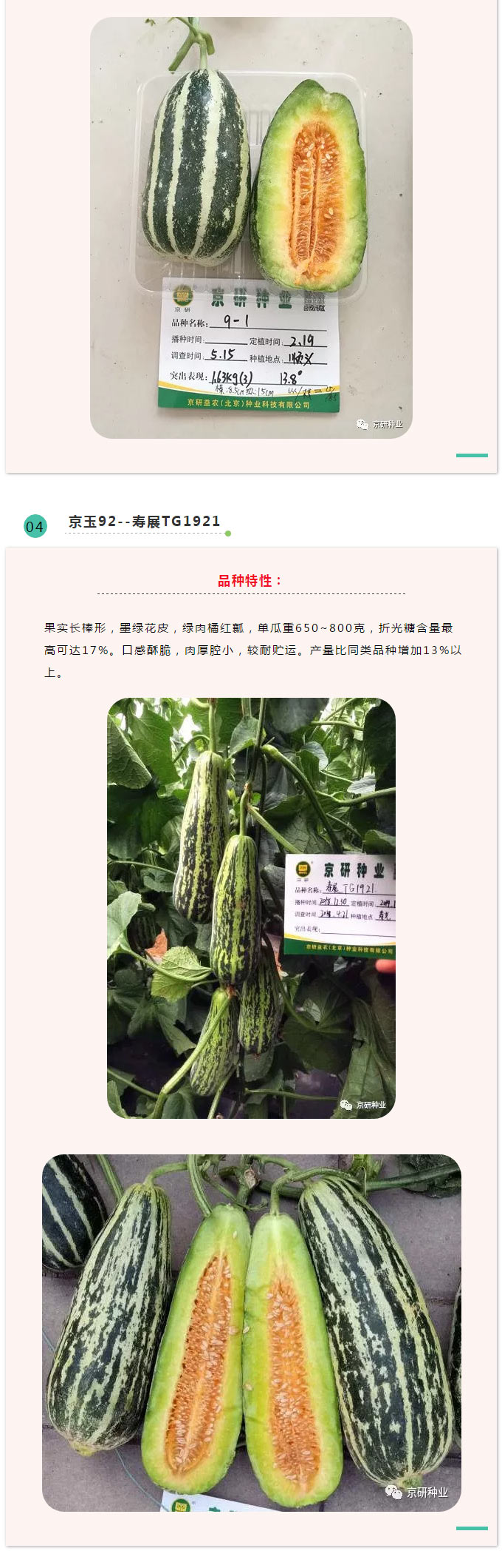 京研种业_05.jpg