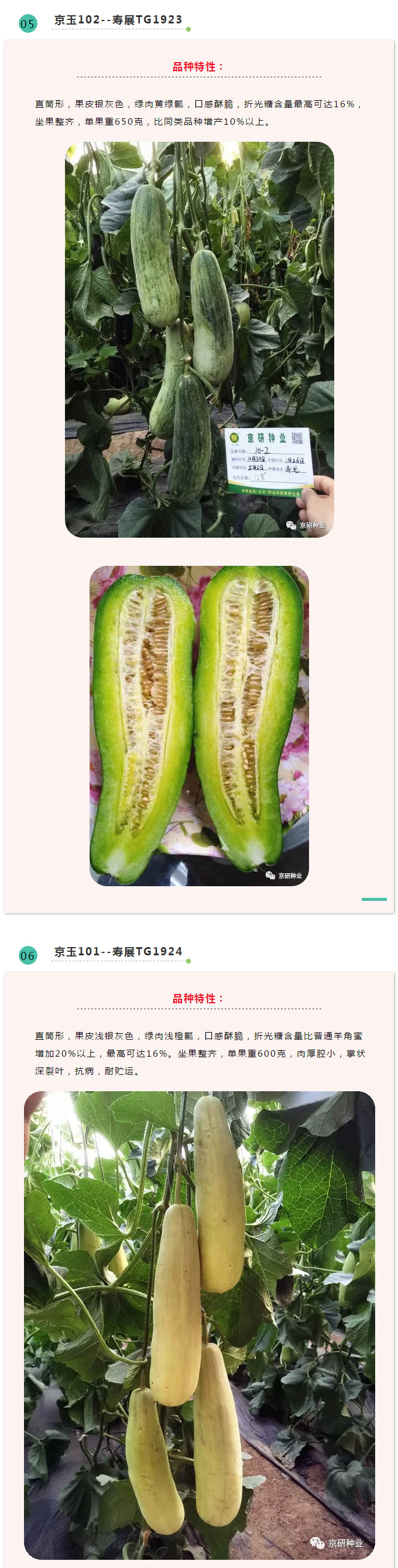 京研种业_07.jpg