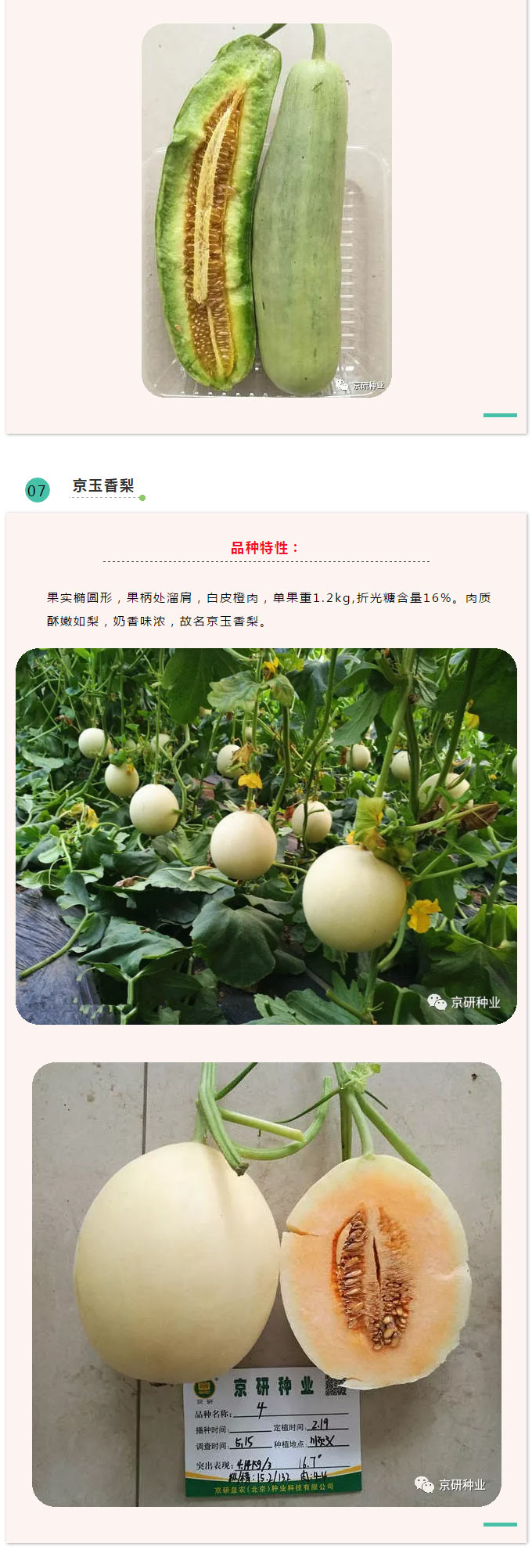京研种业_09.jpg
