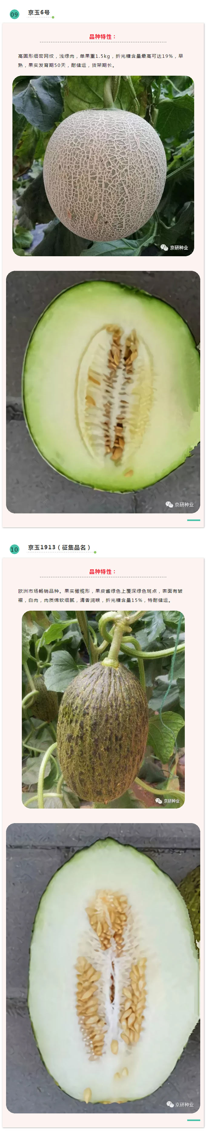 京研种业_12.jpg