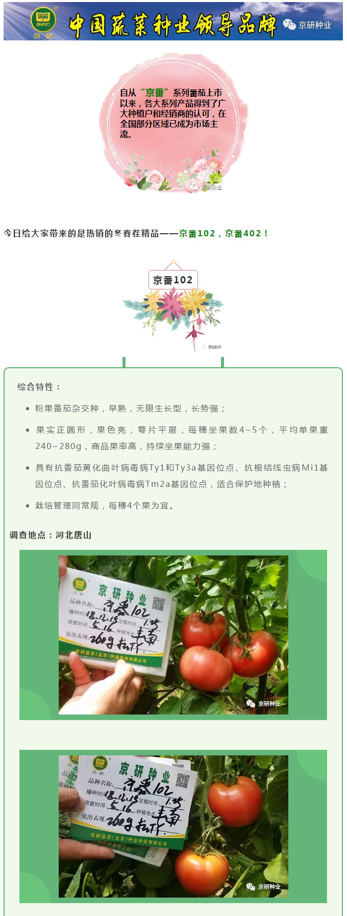京研种业_01.jpg