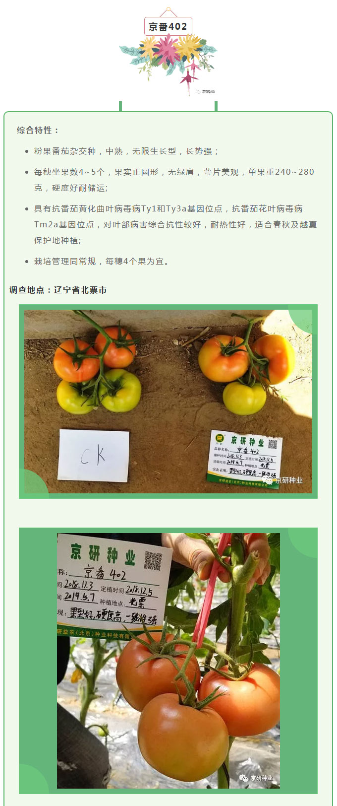 京研种业_03.jpg