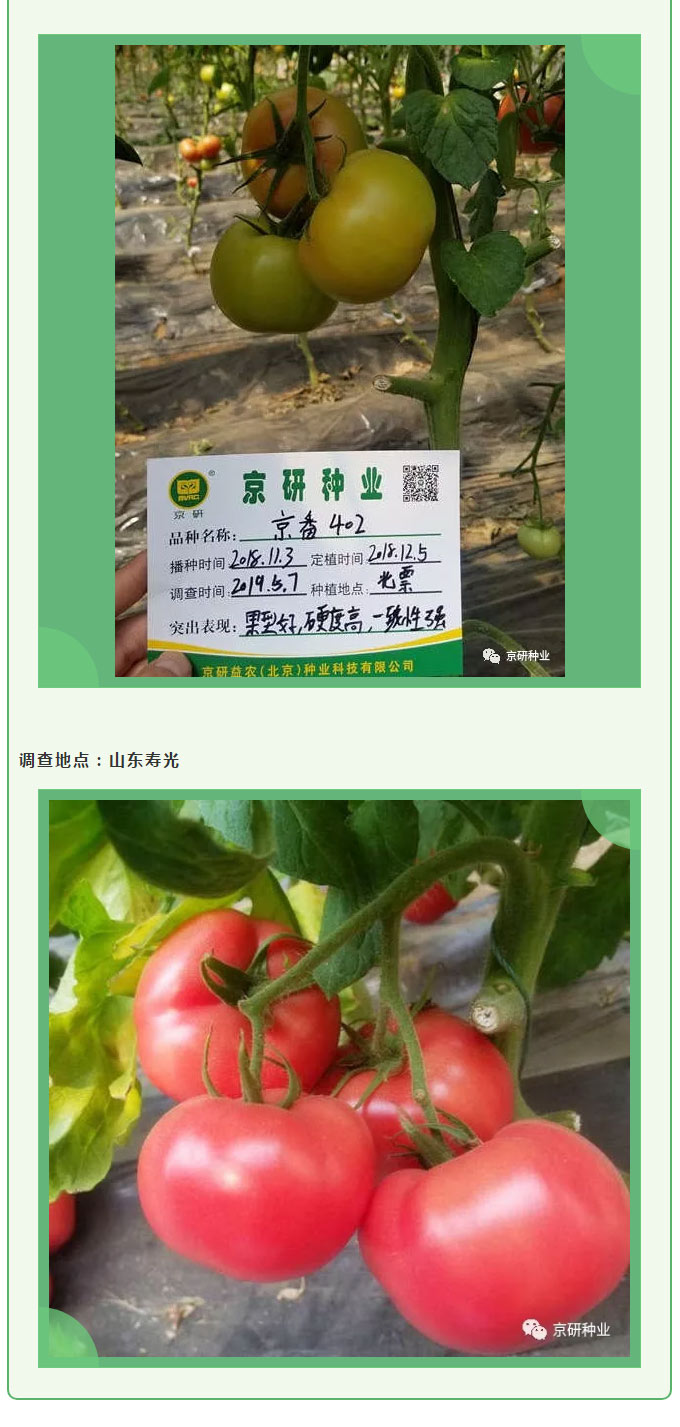 京研种业_04.jpg