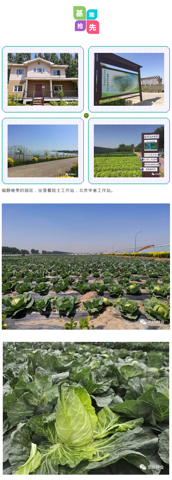 京研种业_05.jpg